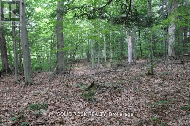2209 JOCHEM ROAD Edwardsburgh/Cardinal, Ontario in Land for Sale in Woodstock - Image 11