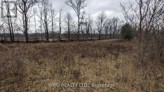 Land For Sale In Marmora in Land for Sale in Trenton - Image 3