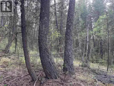 This 24.7 acres of prime vacant land with merchantable timber value and in an exceptional location o...