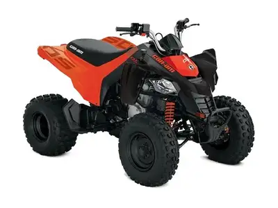 2026 Can-Am DS 250 ...