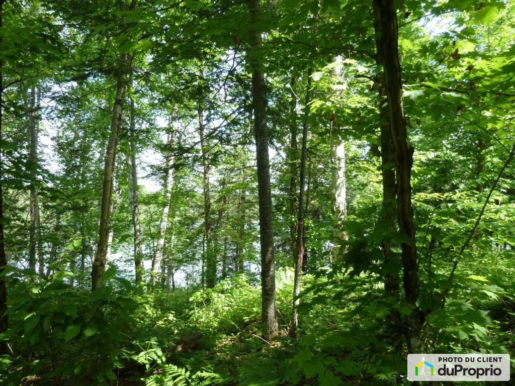 $89,900 - Residential Lot for sale in Chute-St-Philippe — photo 2