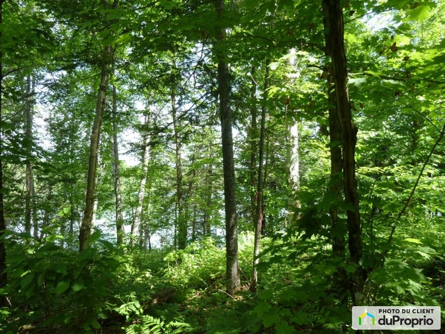 $89,900 - Residential Lot for sale in Chute-St-Philippe — photo 2