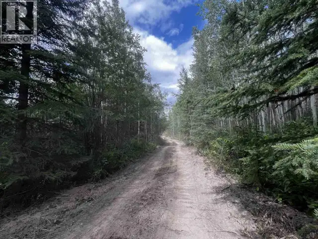 LOT A DL 5084 AIRPORT ROAD Fraser Lake, British Columbia in Land for Sale in Burns Lake - Image 6
