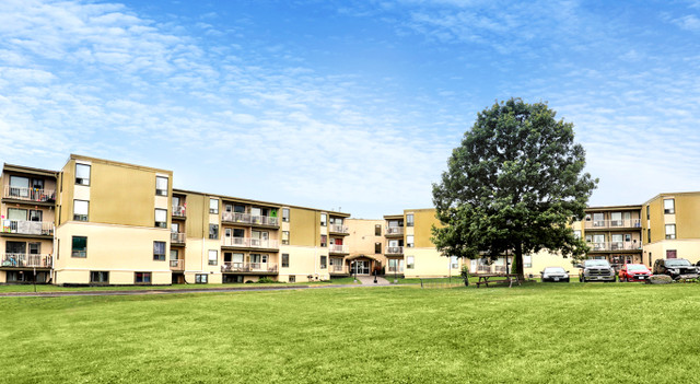 Treeview Apartments - 3 Bedroom Apartment for Rent in Long Term Rentals in Kingston