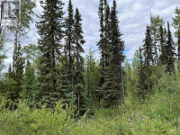 LOT D JARDINE ROAD Cluculz Lake, British Columbia Vanderhoof Skeena-Bulkley Area Preview