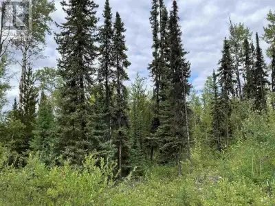 Over 5 acres in the Cluculz lake area just waiting for your ideas. There are two 5 acre lots on eith...