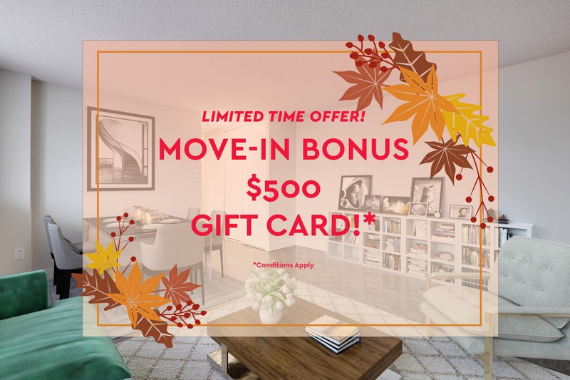 Kingswood I Bachelor Apartment for Rent Long Term Rentals