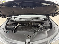 New arrival. More photos to come! Engine: V6 Cylinder Engine (image 9)