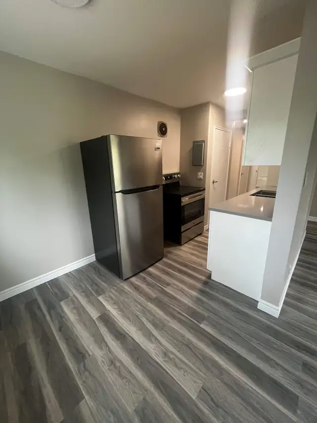 1 Month Free | Renovated 2-Bedroom | In-Suite Laundry | Balcony in Long Term Rentals in Sarnia - Image 10