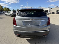 Just Arrived! Please Call or Text Matt at 5198724812 for a prompt and friendly response. This is a c... (image 6)