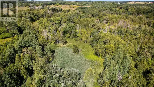 8155 19TH SIDE ROAD King (Schomberg), Ontario in Land for Sale in Barrie - Image 10