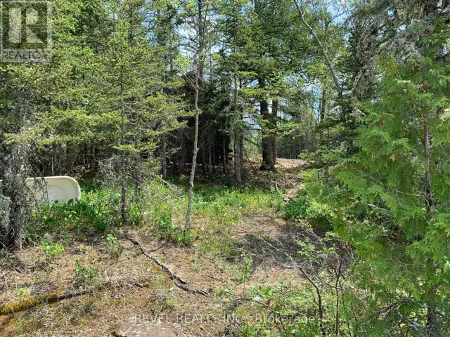 8625 KAMISKOTIA ROAD Timmins (MTJ - Kamiskotia), Ontario in Land for Sale in Timmins - Image 18