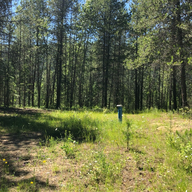 HMMMM, WHAT CAN YOU DO WITH 19.52 ACRES??? Land for Sale Nelson