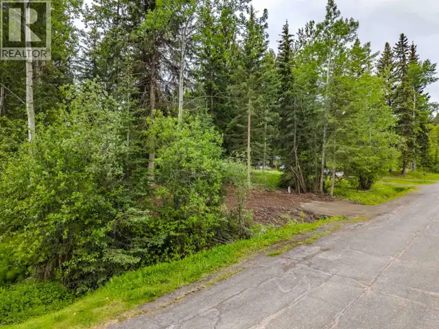 LOT 81 MULLIGAN DRIVE Horse Lake, British Columbia in Land for Sale in 100 Mile House - Image 11