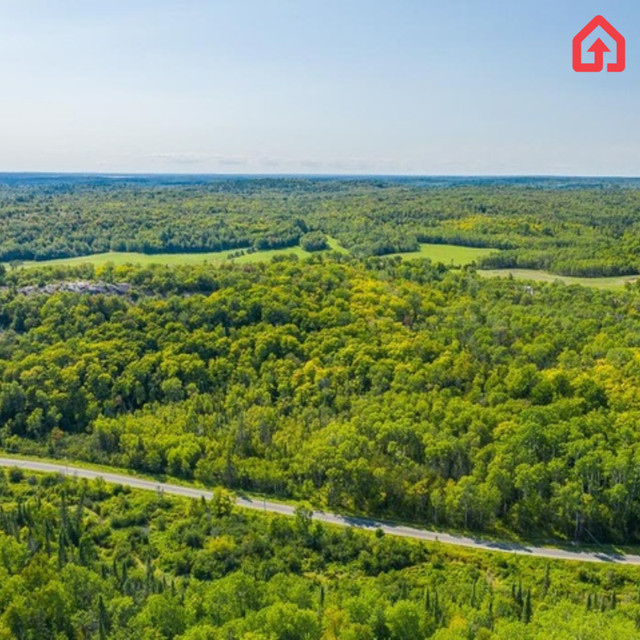 Gordon Lake Road at Carter Side Road, Johnson Township in Land for Sale in Sault Ste. Marie - Image 2