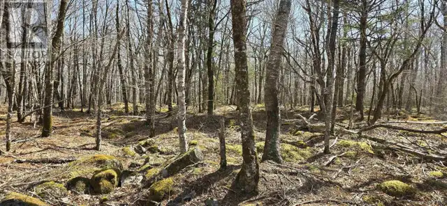 69 Sparkling Spring Lane Labelle, Nova Scotia in Land for Sale in Bridgewater - Image 21