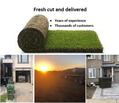 Fresh Cut and Delivered Sod, View more