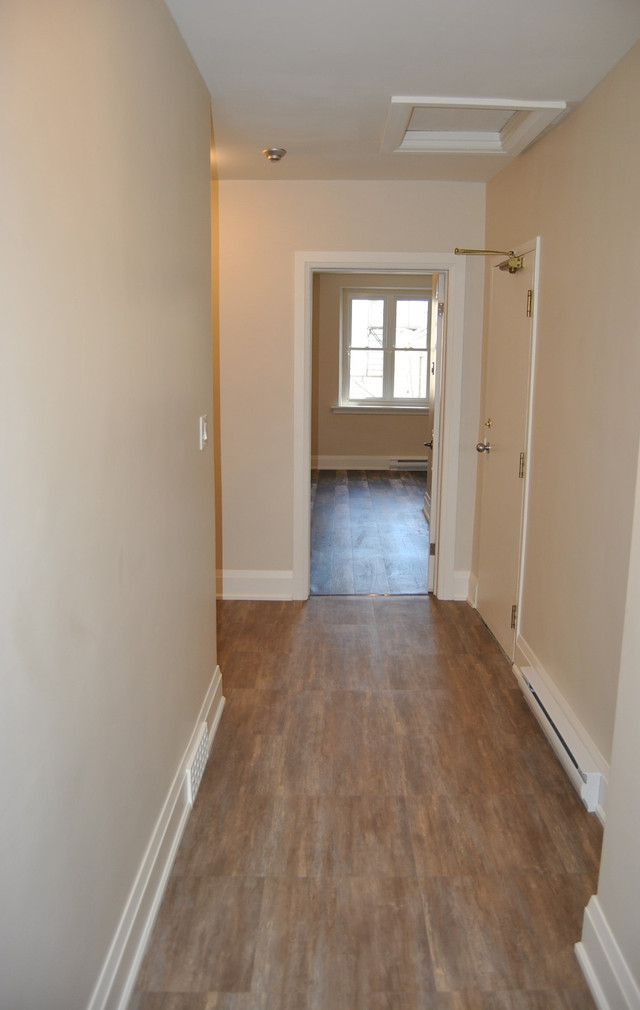 Must-See Remodeled 1 Bedroom in Downtown! in Long Term Rentals in Guelph - Image 3
