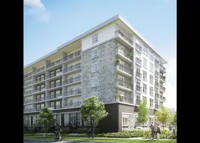 Luxury Spacious Student/Young Professional Apartment! (G206)