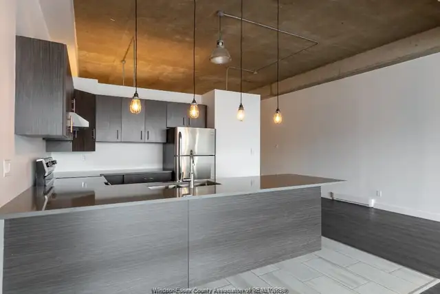 Rare Find! Spacious, stunning renovated LOFT in Long Term Rentals in Windsor Region - Image 10