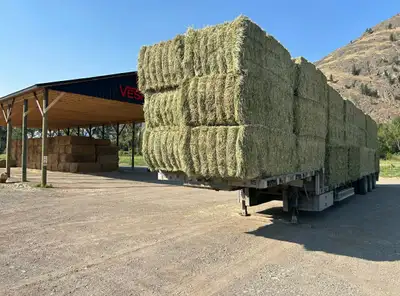 Timothy / Alfalfa /mix hay, View more