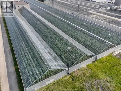 Discover this turn-key, fully operational greenhouse farm located at 293 Talbot W, situated in Leami...