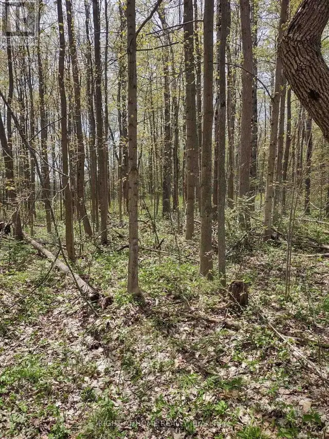 PTL 26 & PTL 27, CON 7, ORO Oro-Medonte, Ontario in Land for Sale in Barrie - Image 25