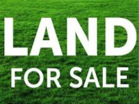 RAW AGRICULTURE LAND FOR SALE RT ON HWY QEW. IN WEST