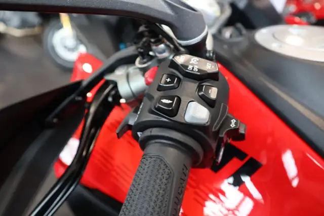 2025 Ducati Multistrada V4 Pikes Peak in Street, Cruisers & Choppers in Edmonton - Image 8