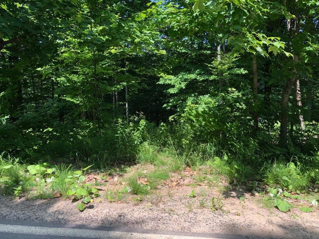 AUBAINE 2 terrains pour le prix d'un LAURENTIDES — photo 3