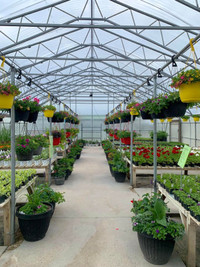 Greenhouse Flowers