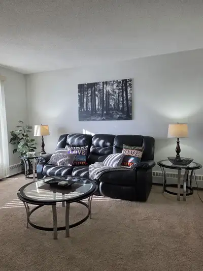 We have ONE1-bedroom, 1-bathroom fully furnished units coming available in this quiet, well-maintain...