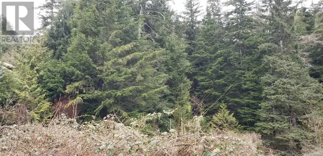 Lot 16 Haggard Cove Port Alberni, British Columbia62863770849282121