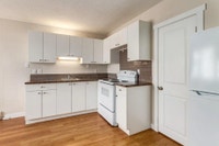 Amenities: Utilities Included • Air Conditioning • Affordable Parking Suite & Building: Bachelor and... (image 8)