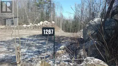 2.91 acres lot. Ottawa River. Very private. Driveway. Cleared area to build or park trailer. Waterfr...