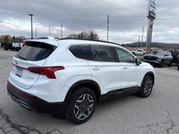 AWD, Urban Edition, Leather Heated Seats, Heated Steering Wheel, Blind Spot Detector, Rear Camera, R... (image 6)