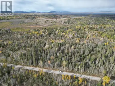 Discover 160.4 acres of pristine natural beauty in Blezard Valley, perfect for those seeking privacy...