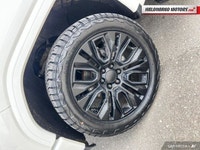 This GMC Sierra 1500 Limited has a strong Diesel 6cyl 3.0L engine powering this Automatic transmissi... (image 8)