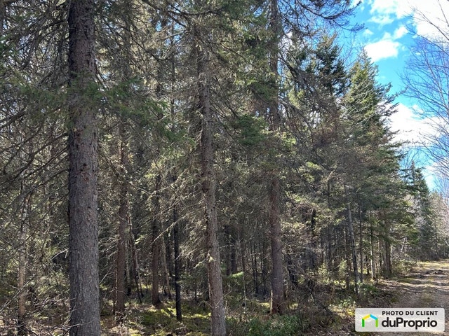 $225,000 - Wood Lot for sale in St-Felicien — photo 2