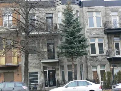 AU 291 BOULEVARD SAINT-JOSEPH OUEST MONTREAL QC. H2V 2N8 *** CHAMBRE A LOUER DANS UNE MAISON DES CHA...