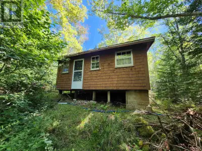 Escape to this quiet cabin, perfect for creating your dream recreational retreat. Nestled in a peace...