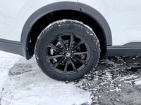 Crowfoot Hyundai, AMVIC Licensed Dealer Mileage: 18,515 km History: One Owner Discover the perfect c... (image 5)