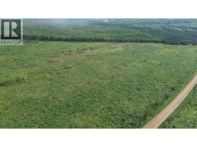 1111 BIRLEY ROAD Buick Creek, British Columbia in Land for Sale in Fort St. John - Image 23