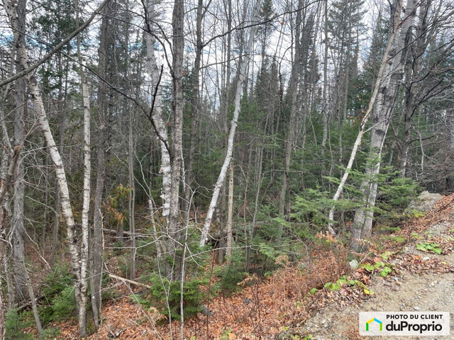 67 000$ - Terrain résidentiel à vendre à Rawdon dans Terrains à vendre  à Lanaudière - Image 4