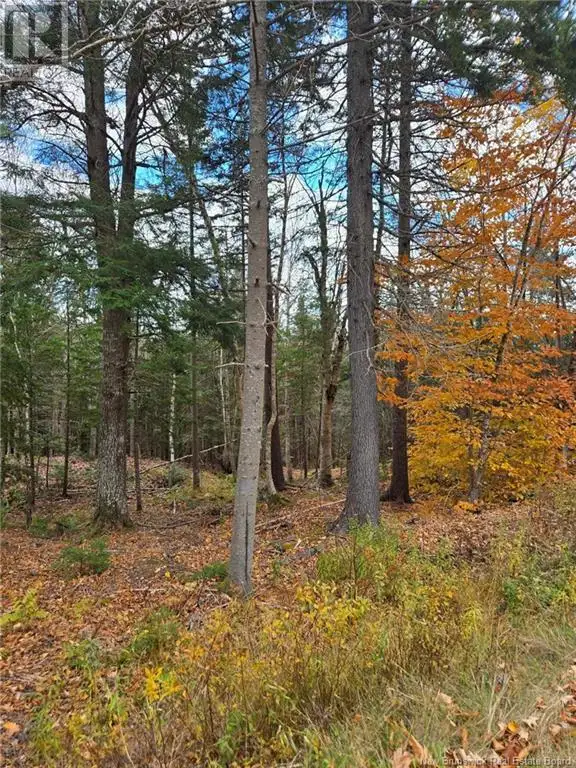 21-01 Worden Road Kingston, New Brunswick in Land for Sale in Saint John - Image 8