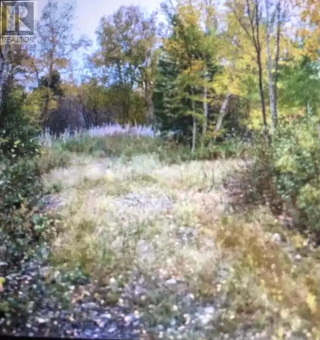 260A Main Street Embree, Newfoundland & Labrador in Land for Sale in Gander - Image 2