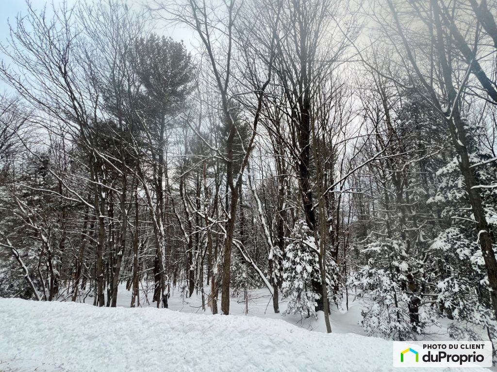 $219,900 - Residential Lot for sale in Ste-Anne-Des-Lacs — photo 1