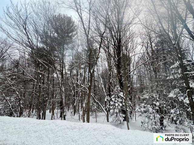 $219,900 - Residential Lot for sale in Ste-Anne-Des-Lacs — photo 1