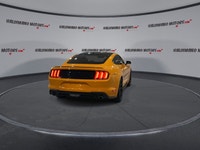 // ACCIDENT FREE!! // Turn every drive into an event in this used 2019 Ford Mustang EcoBoost Fastbac... (image 6)