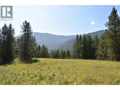 50 acres of absolute bliss. The possibilities are endless with this majestic piece of land. Start a...